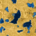 Posibilidad de que organismos vivos se alimenten de acetileno en los lagos de Titán (ing)