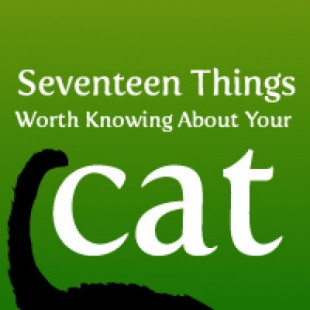 17 cosas que vale la pena saber sobre tu gato [eng]