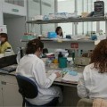 El Centro Príncipe Felipe ha desmantelado 13 de los 25 laboratorios en cinco años