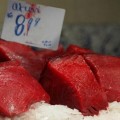 No consumas atún rojo