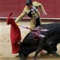 Cataluña quiere prohibir los toros: «Torturar es cosa nuestra», afirman los Mossos  (Humor)