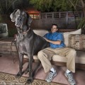 George, ¿el nuevo perro más grande del mundo? (ENG)