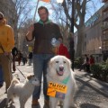 Un juez retira por primera vez la custodia de un perro por maltrato en Granada