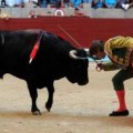 Proponen vetar las corridas de toros en 19 concellos gallegos