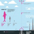 ¿De verdad puede un tiburón gigante atrapar un avión? [Gráfico]