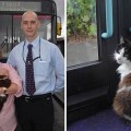 Muere atropellado Casper, el gato famoso por viajar todos los dias en el mismo autobús [Eng]