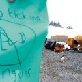 De cómo un dibujo creado por un niño autista se convirtió en una política oficial de la Antártida