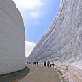 Tateyama Kurobe,  La carretera cubierta por 20 metros de nieve