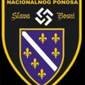 Nace partido neonazi bosnio musulmán [eng]