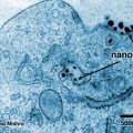 Fotografìa de nanobots matando el cancer [ENG]