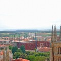Talarán árboles porque no les dejan ver la catedral de Burgos