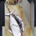 Japón vende carne de ballena protegida para hacer sushi