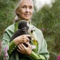 Jane Goodall: "Las criaturas con el cerebro más sofisticado están destruyendo el planeta"