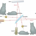 Investigadores logran por primera vez en la historia un estado con fotones entrelazados tipo gato de Schrödinger [ENG]