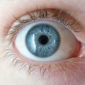 ¿Por qué los seres humanos nacen con ojos azules?