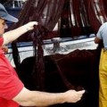 Queman la red al dueño de un barco gallego que denunció la pesca con dinamita