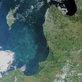 Detectada en el Báltico una espectacular plaga de algas que ocupa la misma superficie que Alemania