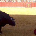 Expectación internacional ante una posible prohibición de las corridas de toros