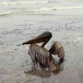 Colisión contra pozo petrolero en Louisiana, se desconoce la magnitud del derrame