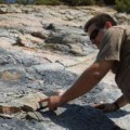 El bosque fósil de Valdesamario, con 310 millones de años, arrasado