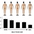 Cómo miran las mujeres el cuerpo desnudo de los hombres estudiado gracias al eyetracking