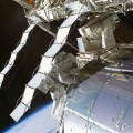 Bacteria expuesta en el exterior de la Estación Espacial Internacional sobrevive 553 días