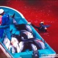 El mar de Japón se torna rojo por la matanza de delfines