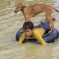 Mi perro y yo