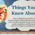 Infografía: 16 cosas que no sabías acerca de dormir [eng]