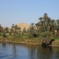 Egipto convierte su desierto en bosques con aguas residuales