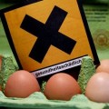 La carne contaminada con dioxina se extiende por media Alemania