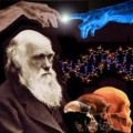 Un profesor turco es denunciado por defender la teoría de la evolución en clase