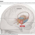 La ciencia revela por qué es tan difícil olvidar un gran amor