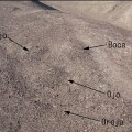 Arqueólogos descubren 138 centros de líneas en Nazca