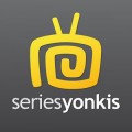 ¿Cuál es el futuro de Seriesyonkis? (I)