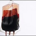 Científicos proyectan crear sangre a partir de células madre a escala industrial para transfusión en seres humanos