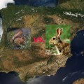 La España de la ardilla y la España del conejo