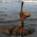 BP obtiene permiso para volver a operar en el Golfo de México