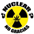 ¿Plantar cannabis para descontaminar Fukushima?