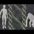 El hombre con 44 cromosomas, y lo que revela sobre el pasado de nuestra genética [EN]