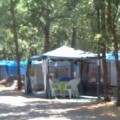 La Junta de CyL autoriza la tala de 1000 robles para ampliar un camping en el lago de Sanabria