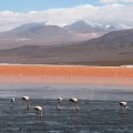 7 lugares de Bolivia que parecen de otro planeta