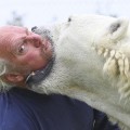 Increíble historia de amistad entre un hombre y una osa polar [ENG]