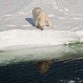 ¿A quién le importa que se funda el Ártico?