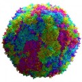 MIT desarrolla medicamento que podría curar todos los virus