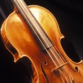 Un ladrón robó un violín Stradivarius de 1,2 millones de libras y lo estaba vendiendo por 100 libras (inglés)