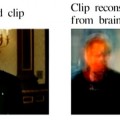 Científicos usan imágenes cerebrales para revelar películas en nuestra mente [EN]