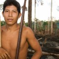 Madereros propinan una brutal paliza a un indígena amazónico
