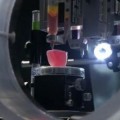 Crean impresoras 3D capaces de reproducir órganos y tejidos