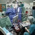 94 trasplantes en 72 horas, nuevo récord de la ONT